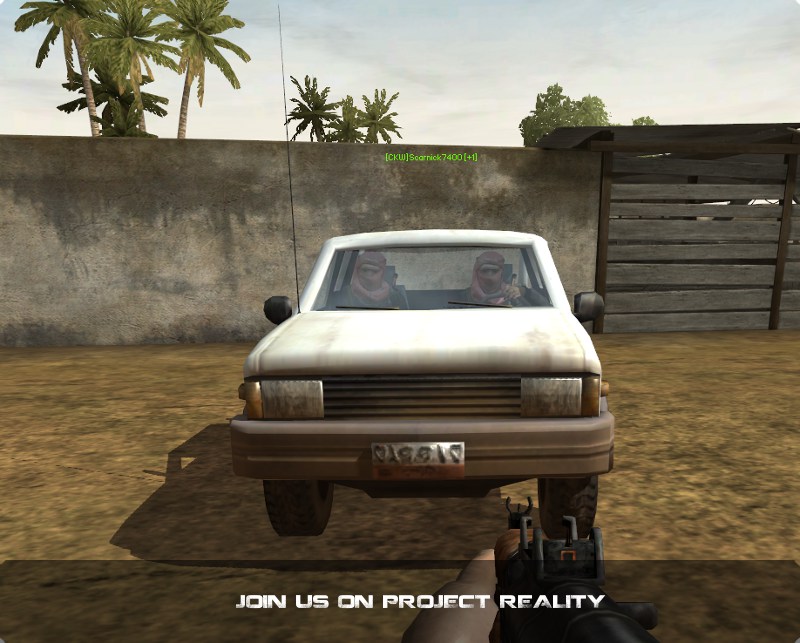 Project Reality